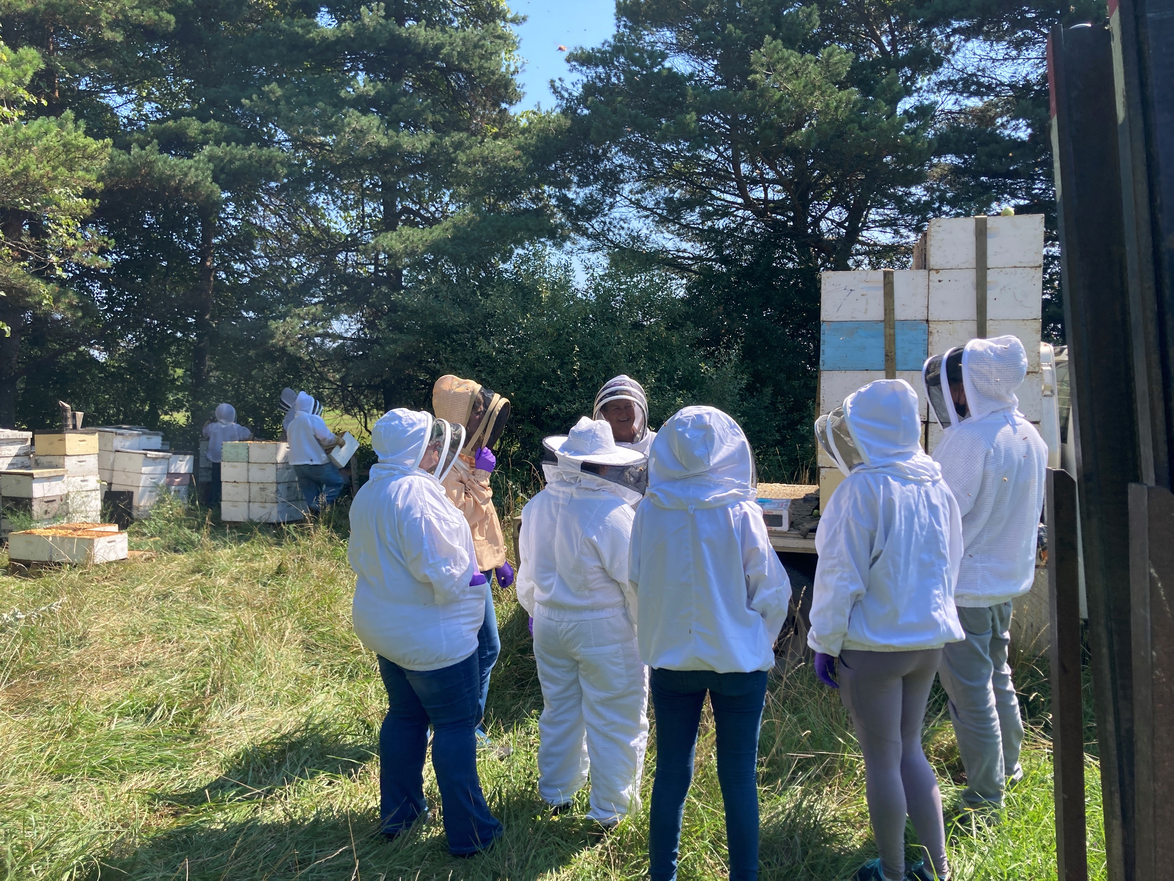 veterinary students in a bee yard